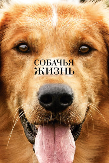 Собачья жизнь (2017)